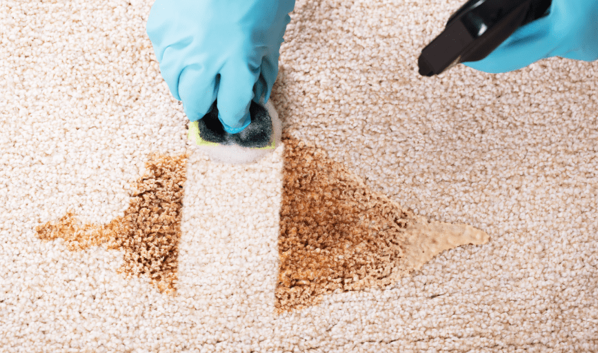 Amiri Cleaning Service