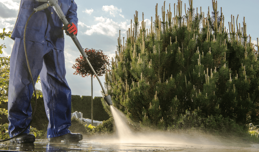 Amiri Cleaning Service